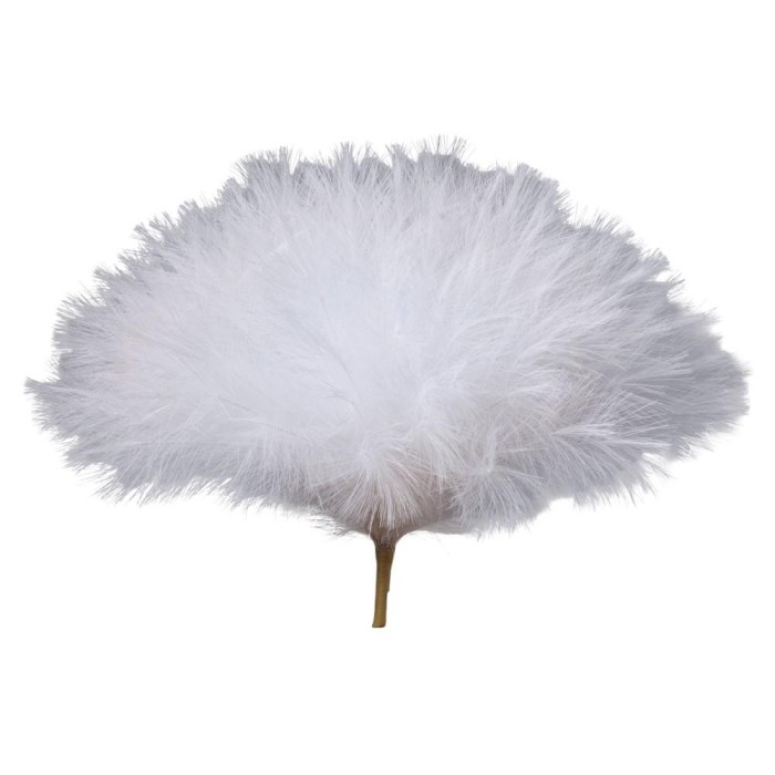 BOUQUET DI PAMPAS H46 BIANCO